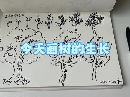今天画树的生长,从种子长成小嫩芽到长成参天大树,就好像我们人类的一生。#画画 #绘画 #绘画过程 #树 #简笔画