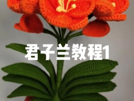 君子兰教程来啦#零基础学钩针 #我的手工作品 #请给手艺人一个关注双击支持