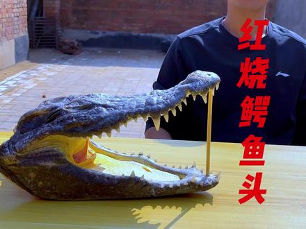 红烧鳄鱼头真的很香 #我是美食创作者 #鳄鱼肉 #抖音美好食光 #抖音美食推荐官 #抖音美食创作人
