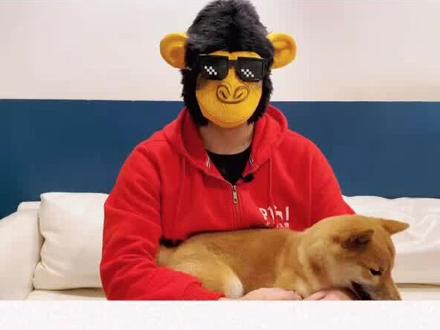 过度兴奋是坏习惯的根源,稳定狗狗性格,从‘安定训练’开始做起#训犬 #把日子过成家