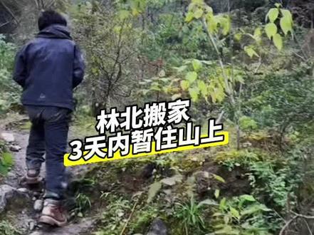 林北暂住新家#荒野求生 #野外生存 #林北
