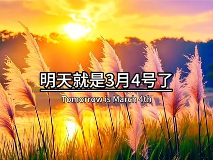 明天就是3月4号了,也是全球情侣示爱日,一定对你最最喜欢的人说一句,I love you every minute,因为2 0 2 6 3 4的寓意是,这辈子我最爱的是你,一辈子都不会和你分开#冷知识 #情感共鸣 #情感语录