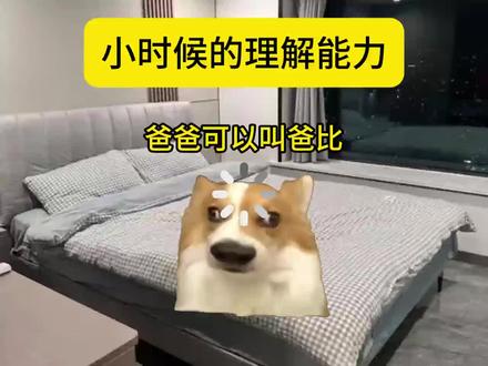 小时候的理解能力#猫meme#离谱#反转