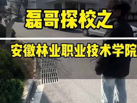 安徽林业职业技术学院 #安徽林业职业技术学院 #单招 #安徽单招 #安徽单招磊哥 #单招志愿填报