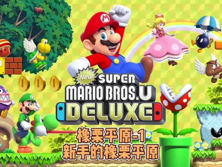 #新超级马里奥兄弟U豪华版 关卡:W1-橡栗平原-1 新手的橡栗平原