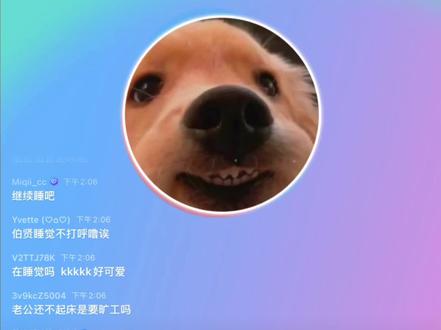 你的睡眠💤主播伯贤儿已下线
没办法啦要匆匆忙忙的去赶时间上班啦,下次多睡会儿吧,可以开着摄像头睡哦#边伯贤 #baekhyun #exo #直播