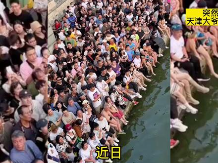 突然!天津大爷退出狮子林跳水,真正原因被曝光,网友:可以理解 #跳水 #天津大爷
