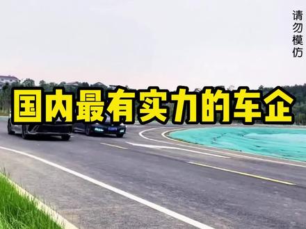国内最有实力的车企是哪个#汽车知识 #每天一个用车知识