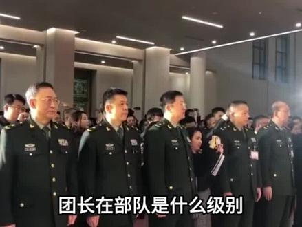 在部队里,团长是什么级别?退伍后能享受什么待遇 #军事武器 #军事迷 #军事爱好者 #军事科普 #军迷发烧友