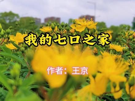 情感故事,《我的七口之家》,作者王京 #情感故事