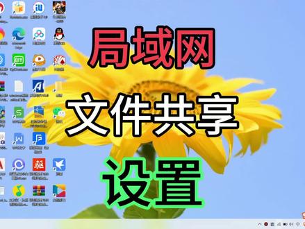 局域网共享文件设置 #电脑技巧 #电脑 #电脑知识 #办公软件 #办公软件技巧 #计算机 #笔记本电脑 #计算机网络与应用 #网络