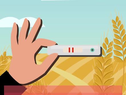 古埃及“麦子验孕法”准确率高达70%......不得不说古人真是让人佩服啊!