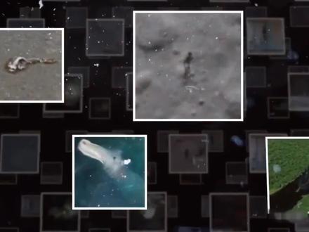 被抓拍到的七大神秘生物,体长305米的深海巨兽,有可能存在吗 #神秘生物 #科普 #涨知识