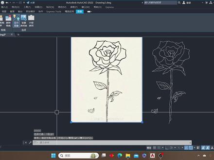 CAD绘制玫瑰花教程来了,不好意思让各位久等了#cad画图 #CAD教程