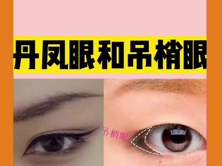 你知道丹凤眼和吊梢眼的区别吗#眼睛 #丹凤眼 #吊梢眼 #变美 #颜值