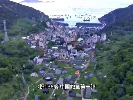 中国鲍鱼第一镇,北纬36度,富美江湾村#旅行推荐官