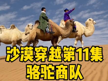 遇见沙漠骆驼,解密羊皮地图 #沙漠穿越生存 #搞笑 #户外