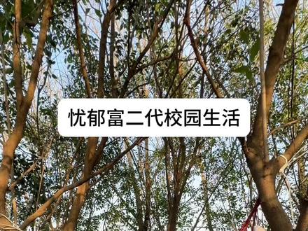 今天修建了新房子。
#别墅日常 #vlog日常