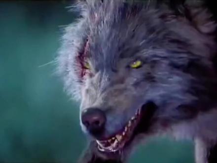 吴京电影集维吾尔语版。