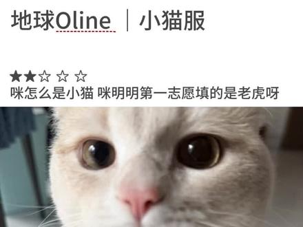 #小猫梗 咪怎么是小猫#地球online