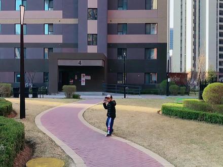 超稳的蝠翼回旋纸飞机,空中姿态非常潇洒