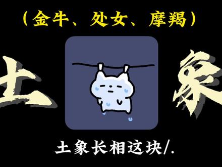 土象长相这块/.#土象星座#土象#摩羯座#处女座#金牛座