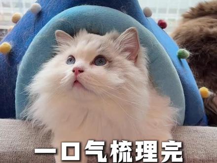 可以把你在喂的猫粮打在评论区,帮大家筛一遍 #猫粮避雷#养猫经验分享#科学养宠攻略#养宠进阶指南
