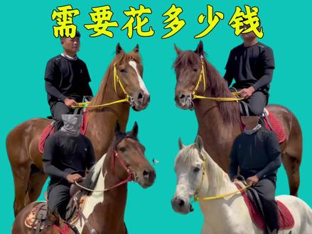 买一匹骑乘马需要花多少钱?