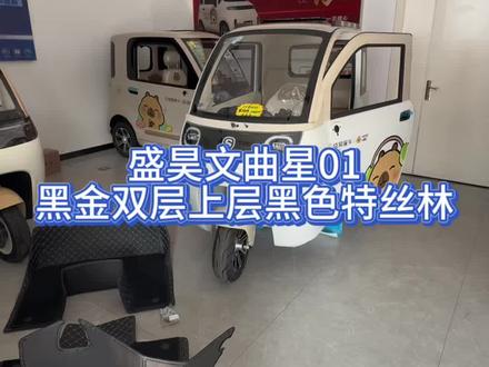 盛昊文曲星01黑金双层上层黑色 特丝林