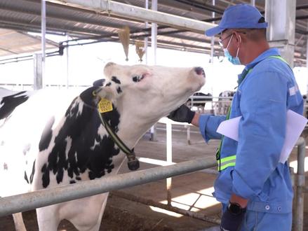 不忘初心,方得始终。 #牛奶 #健康食品