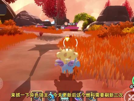 异色领主枫叶灵,还挺可爱#玩游戏我是认真的