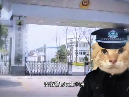 安徽警官职业学院 #安徽警官职业学院#安徽警官职业学院