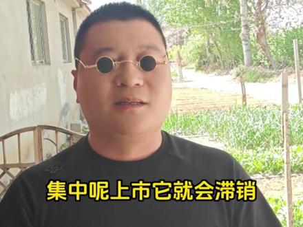 河南蒜薹爆火,免费采摘背后藏着三农真相! #三农 #农业 #河南蒜薹 #蒜薹 #小眼哥看农资
