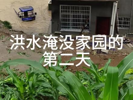 洪水到来的第二天,活着就是希望 哪怕只剩下断壁残垣,我们也一定会努力重建家园#洪水#洪灾#石门洪水#壶瓶山镇洪水