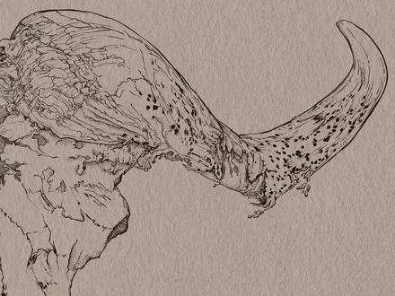 ##画画 #想画就画 #画画过程 点线面野牛头骨插画(一),全程19号尖头笔刷