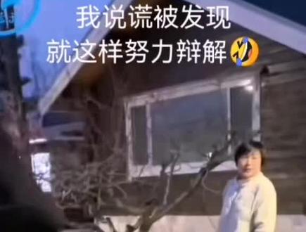 我说谎被发现就这样努力辩解🤣 #新蓝天训练营 #张教练 #大龙 #新蓝天