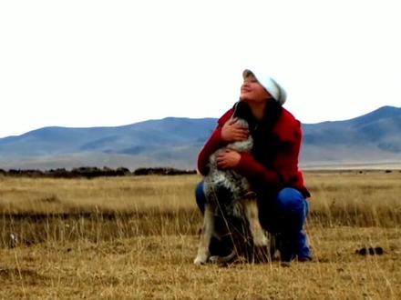 重返狼群 李微漪带着格林来到若尔盖大草原野化训练期间身染重病要回成都修养几天 期间格林独自每天都在等待狼妈的归来15天后李微漪又与格林再次相见
2010年秋,若尔盖草原野化期,李微漪因高原肺水肿+冰雹风寒病重,无奈返成都治疗,将格林托付牧民扎西,这是他俩第一次分离,整整15天。
分离时格林疯追车队,跑至力竭才停下,此后每天守在李微漪离去的路口,从日出等到日落,任凭草原寒风肆虐,寸步不离盼她归来。
15天后李微漪病愈疾驰回草原,刚到路口轻声唤“格林”,那道灰色身影瞬间从山坡奔来,鬃毛凌乱沾着枯草,不顾一切扑进她怀里,喉咙里呜咽着,似委屈又似狂喜,脑袋一个劲蹭她脖颈,久久不肯松开。
重逢的拥抱滚烫,却也让李微漪揪心——15天里格林跟狗群混熟,会犬吠、不怕人,野性渐褪,也让她更坚定要带格林找狼群、归自然的决心。