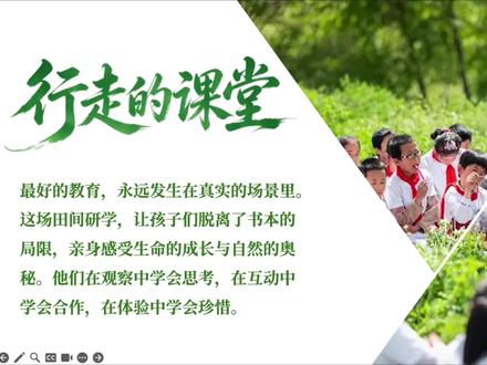 一分钟教会你,PPT图文排版,轻松做出高级感 #ppt #ppt实用技巧 #ppt教学 #ppt美化 #ppt模版