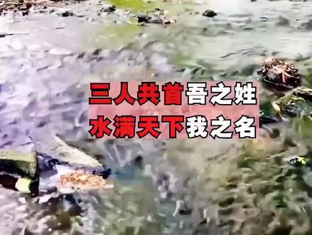 #粉丝一干万刘伯温预言2024年圣人出身和姓氏,他的预言会成真吗?#预言 #预测