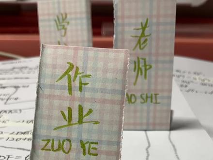 #学习日常 #踩玫瑰花走拍 我要炸了学校🤪🫡