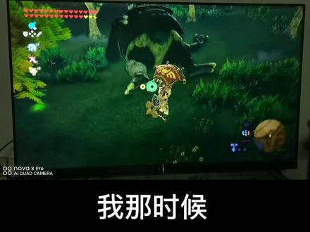 #塞尔达传说旷野之息 一圈大鸡腿对一个正在睡觉的西诺克斯得有多大心理伤害
