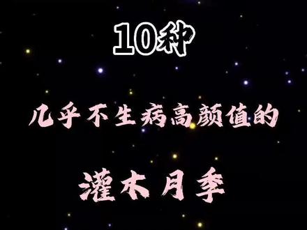 你养过哪几种呢?#月季#盆栽 #盆栽绿植