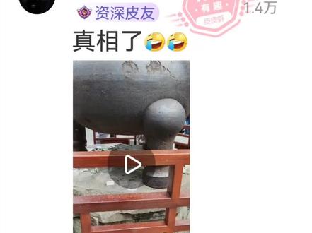 这只鸟太好了,懂的知恩回报。给鸟点赞