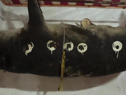 悬挂房梁30多年的“臭猪肉”!#农村美食 #美食 #臭猪肉 #腊肉 #传统手艺 #涨知识 #纪录片