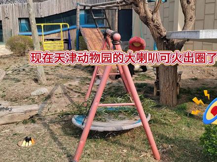 天津动物园真能整活,这个广播的后劲太大了#天津动物园的广播太有节目了 #天津动物园