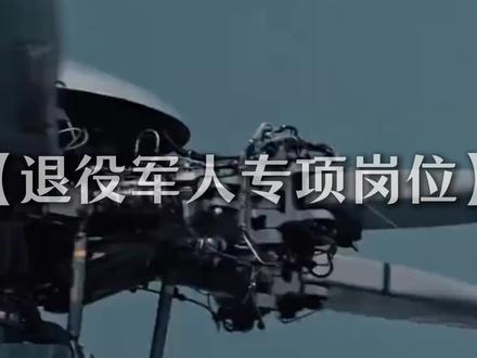 最新消息!退役军人专项岗位即将开始报名!#退役军人专项岗位 #体制内 #退伍军人 #退伍就业 #退伍考公