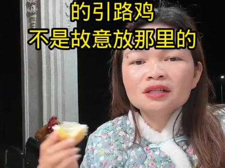 晓愉说这个是婆婆的引路鸡不是故意放那里的#晓愉#农村那些事情#记录真实生活#鸡