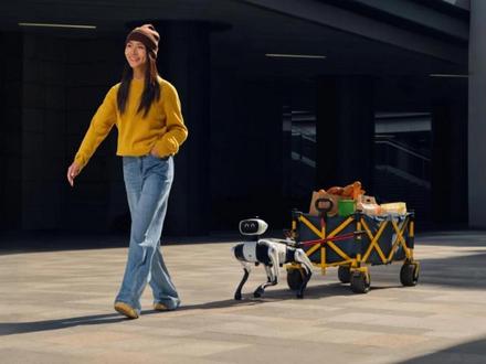 从实验室到千家万户Vbot万元级机器狗撕开消费具身智能普及口#Vbot发布首款无需遥控的机器狗 #Vbot维他动力