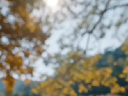 鲜花弓箭转场 鲜花弓箭转场特效 鲜花弓箭转场特效教程 鲜花弓箭 鲜花转场 春天鲜花 鲜花弓箭转场特效指令 弓箭转场 鲜花弓箭转场特效ai指令 花弓箭转场特效 携鲜花弓箭赴一场春日之约 鲜花弓箭视频素材 鲜花弓箭ai教程 鲜花弓箭转场教程 花弓箭精准射中我心巴 桃花弓 鲜花弓箭特效教程 桃花弓箭原视频 桃花弓原创 桃花弓特效 花弓制作教程 扭扭棒桃花弓箭教程 桃花弓喜鹊完整版 漂亮的花弓箭 花弓箭慢动作 携鲜花弓箭赴一场春日之约 鲜花弓箭教程 鲜花才是最低成本的美学艺术 携鲜花弓箭赴一场春日之约制作 弓箭仙气古风 花弓箭 鲜花弓箭原视频 花弓箭女博主 花弓箭慢动作 花弓箭制作教程 花弓箭拍摄技巧分享 桃花做的花弓箭 #转场 #鲜花弓箭 #AI分身戏精大赛 #我的AI分身杀疯了 #即梦AI