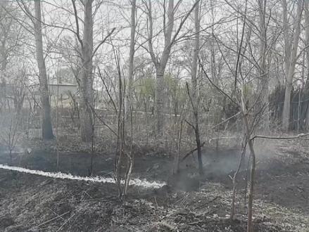 烧荒=放火!疏忽一秒,绿土枯焦!#黑龙江消防守护平安